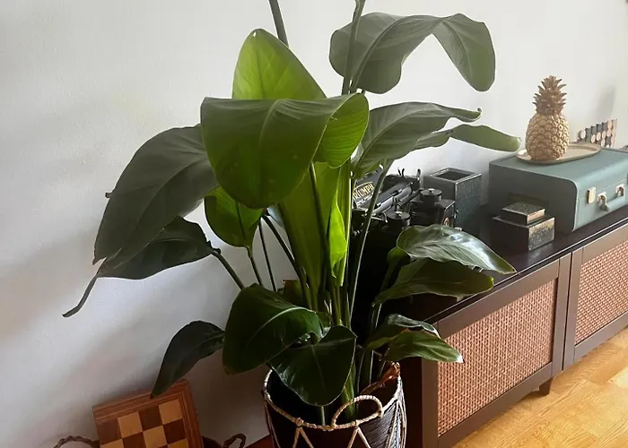 Appartement Allgaeuloft Im Sennhof