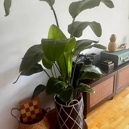 Apartment Allgaeuloft Im Sennhof
